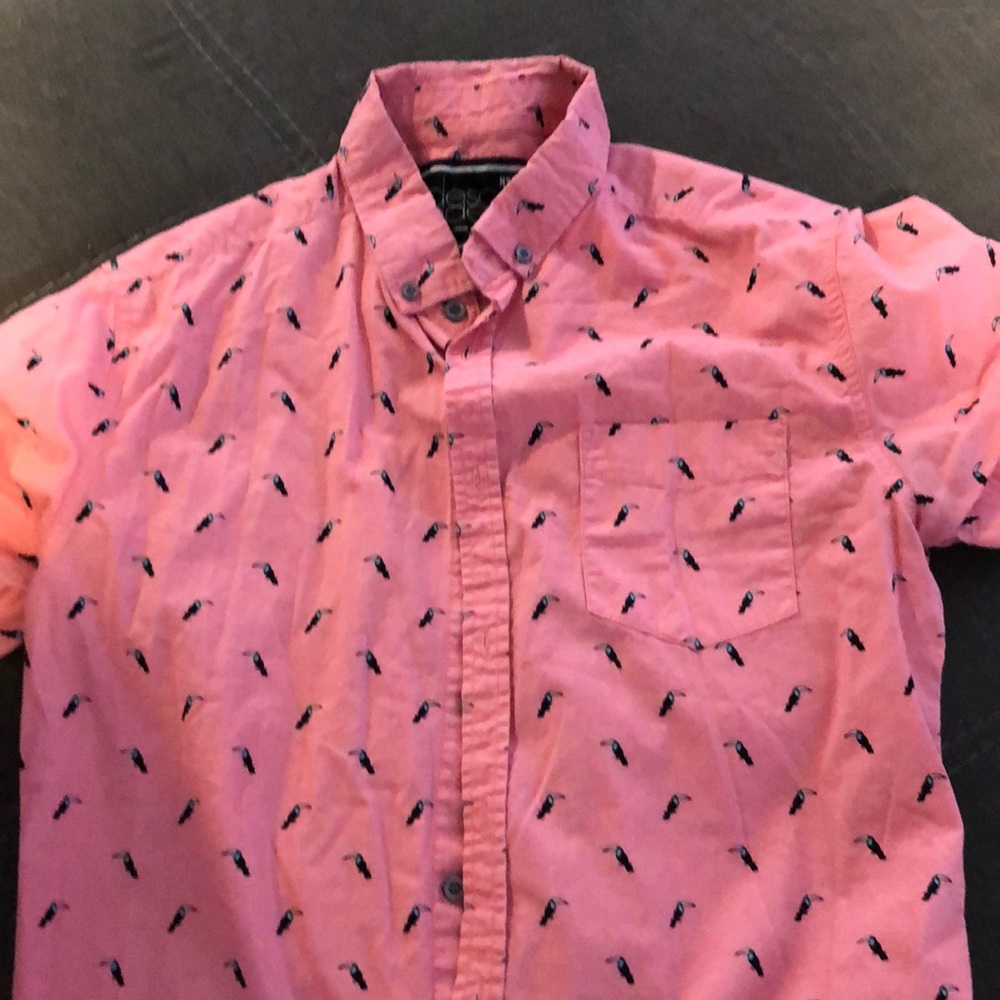 Descendant pink button down with toucans